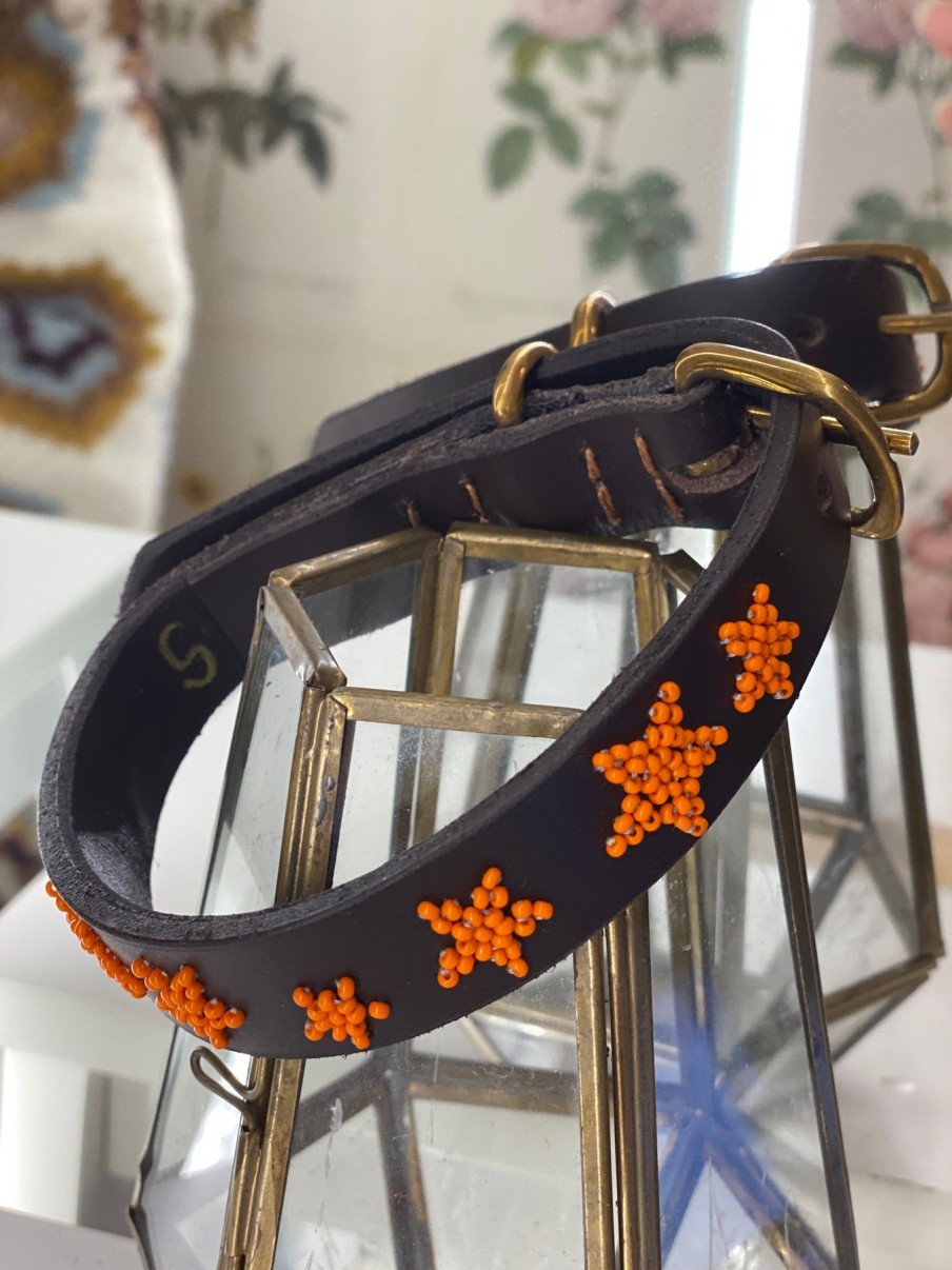 The Jacksons Dog Collar - Orange Stars New